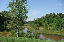 Lyuboseyevka River httpsuploadwikimediaorgwikipediacommonsthu