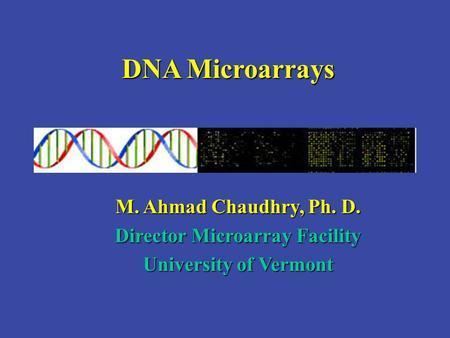 M. Ahmad Chaudhry DNA Microarrays M Ahmad Chaudhry Ph D ppt download