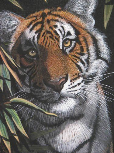M. D. Parashar 93 M D Parashar Tiger Painting Lot 93