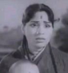 M. N. Lakshmi Devi chilokacomipp604mjpg