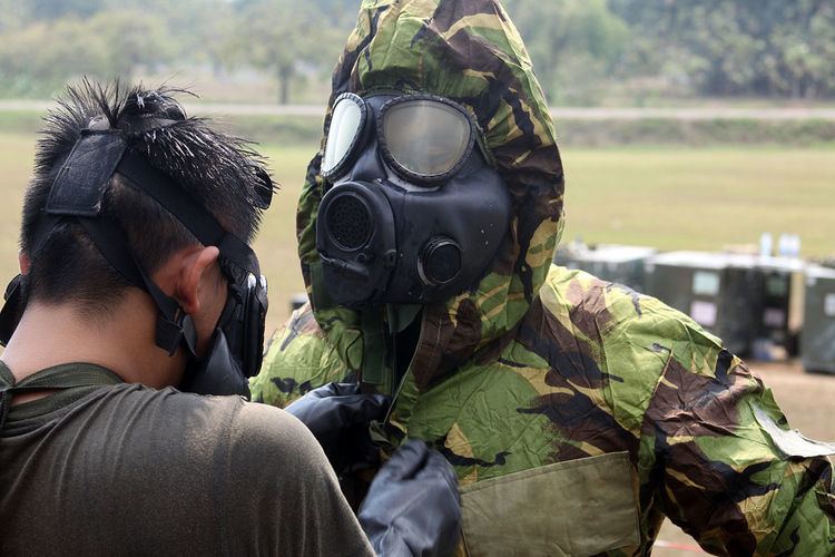 M17 gas mask