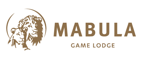Mabula Game Reserve Mabula Game Lodge