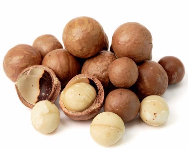 Macadamia Macadamia Nuts Macadamia Nuts Suppliers and Manufacturers at