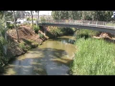 Maccabiah bridge collapse Maccabiah Bridge disaster15 YouTube