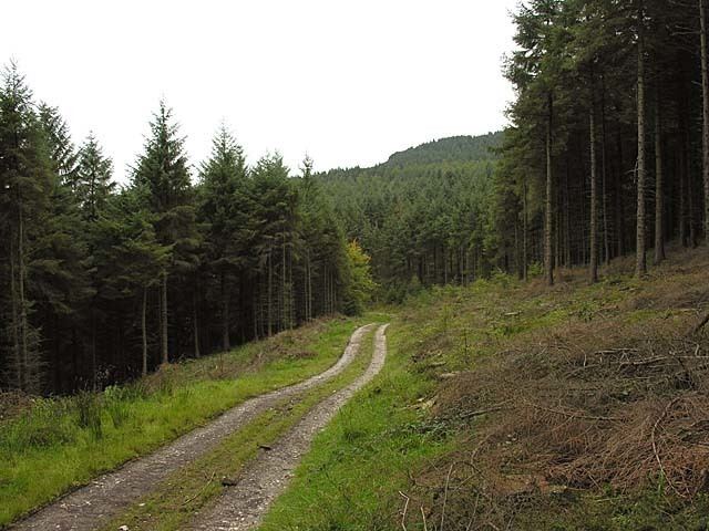 Macclesfield Forest Macclesfield Forest David Kitching ccbysa20 Geograph