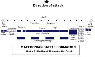 Macedonian phalanx Macedonian phalanx Wikipedia