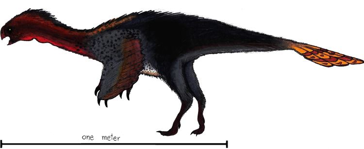 Machairasaurus httpsuploadwikimediaorgwikipediacommons33