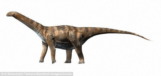 Machimosaurus Machimosaurus was as large as a DOUBLEDECKER BUS Daily Mail Online