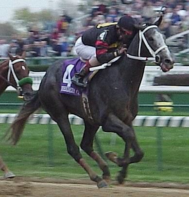 Macho Uno Does Mucho Macho Man Have The Stamina Horse Racing Nation