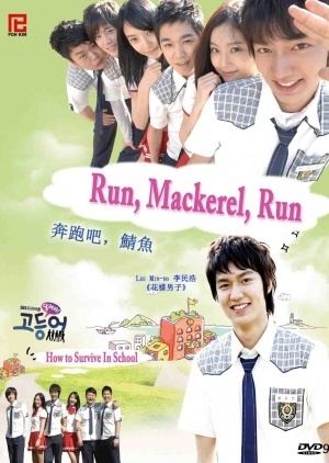 Mackerel Run Run