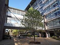 Macquarie University Faculty of Business and Economics httpsuploadwikimediaorgwikipediacommonsthu
