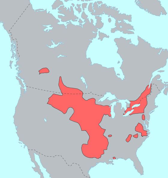 Macro-Siouan languages