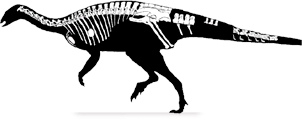 Macrogryphosaurus wwwdinocheckercomimgmacrogryphosauruspng