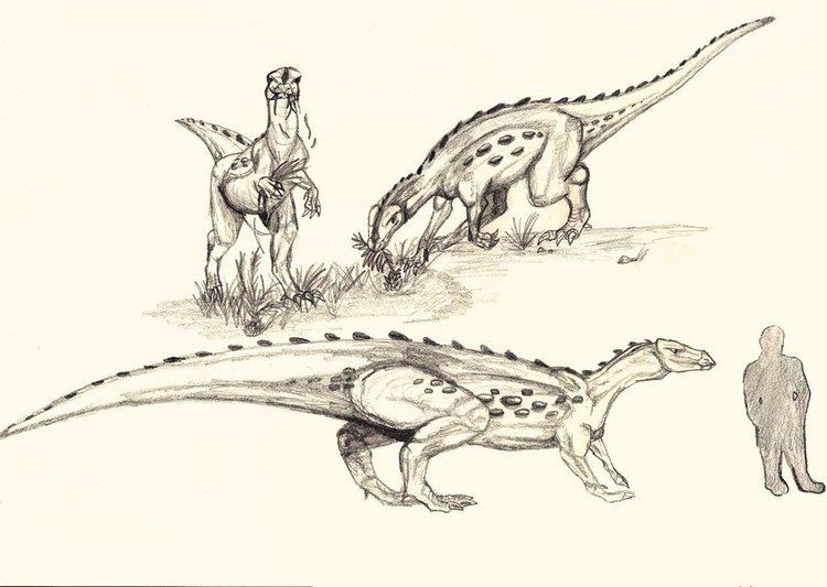 Macrogryphosaurus macrogryphosaurus DeviantArt