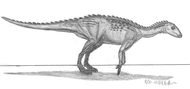 Macrogryphosaurus Macrogryphosaurus Pictures amp Facts The Dinosaur Database