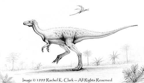 Macrogryphosaurus About Macrogryphosaurus Dinosaurs