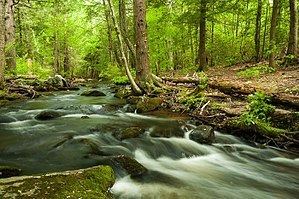 Mad River (Connecticut) httpsuploadwikimediaorgwikipediacommonsthu