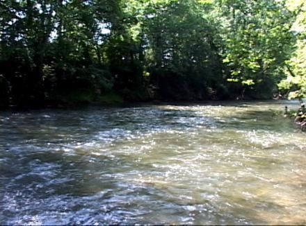 Mad River (Ohio) httpswwwtroutprostorecomsitestroutprostore