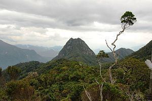 Madagascar ericoid thickets uploadwikimediaorgwikipediacommonsthumbcc7