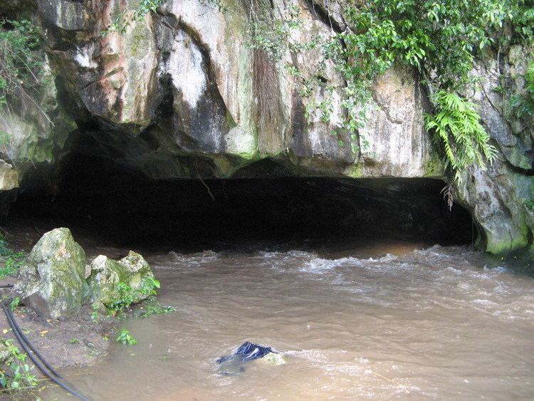 Madai Caves Caving in SE Asia September 2009