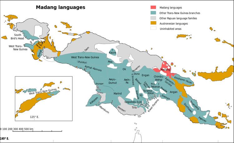 Madang languages