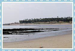 Madh Island Madh Island Beach Mumbai Attractions amp Activities to do