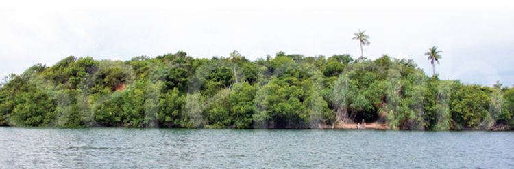 Madol Duwa Madol Duwa The Mystery of The Mangrove Island