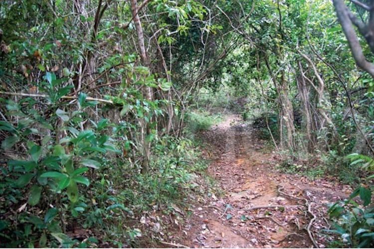 Madol Duwa Madol Duwa The Mystery of The Mangrove Island