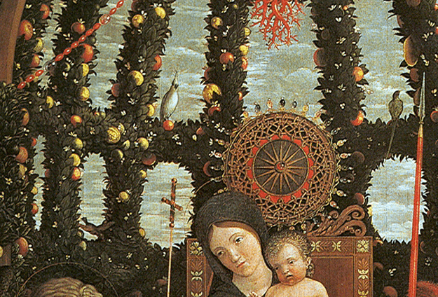 Madonna della Vittoria What is an Australasian parrot doing in a 15th century Italian