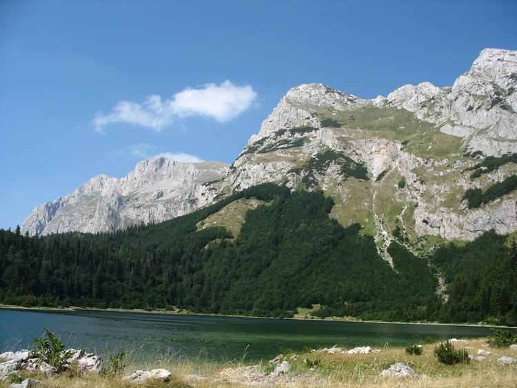 Maglić (mountain) httpsuploadwikimediaorgwikipediacommons88
