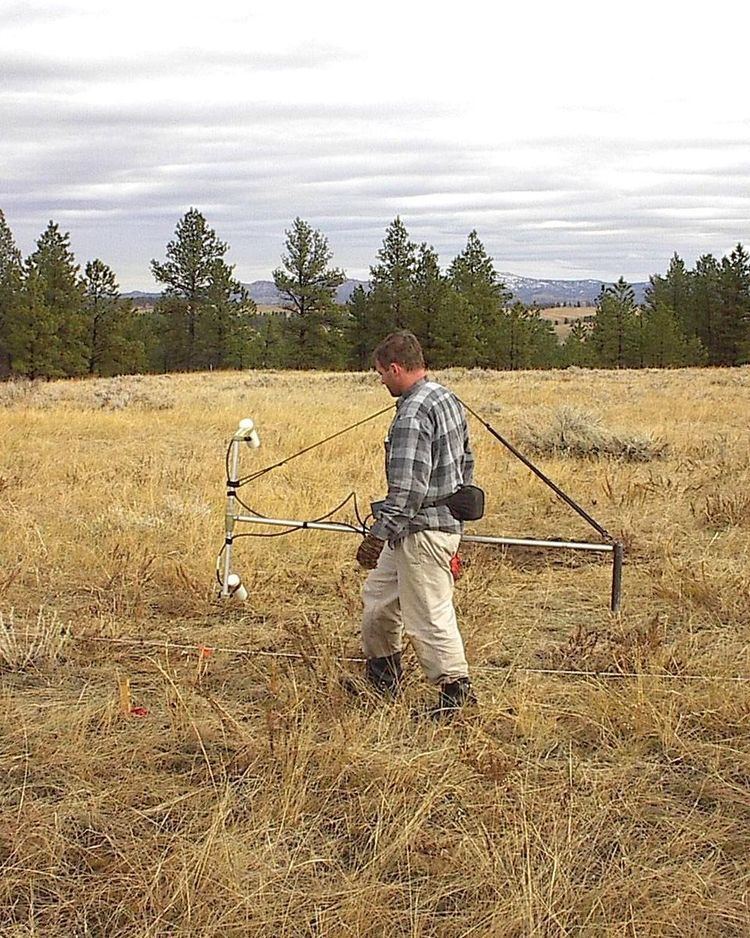 Magnetic survey (archaeology)
