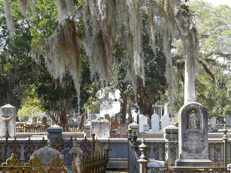 Magnolia Cemetery (Charleston, South Carolina) Magnolia Umbra Plantation Charleston Neck Charleston County