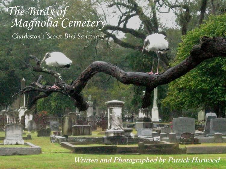 Magnolia Cemetery (Charleston, South Carolina) BirdsEyeViews Now Available quotThe Birds of Magnolia Cemetery