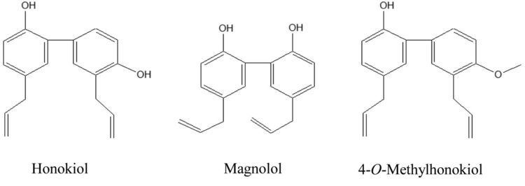 Magnolol Modulation of PGlycoprotein Expression by Honokiol Magnolol and 4