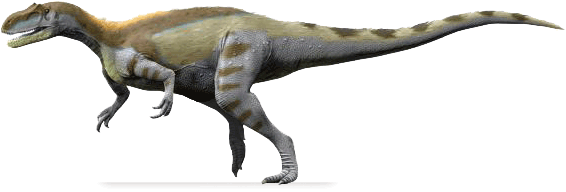 Magnosaurus MAGNOSAURUS DinoChecker dinosaur archive