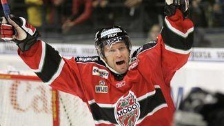 Magnus Wernblom Two goals shy of Swedish record Wernblom retires NHL