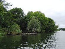 Magpie Island httpsuploadwikimediaorgwikipediacommonsthu