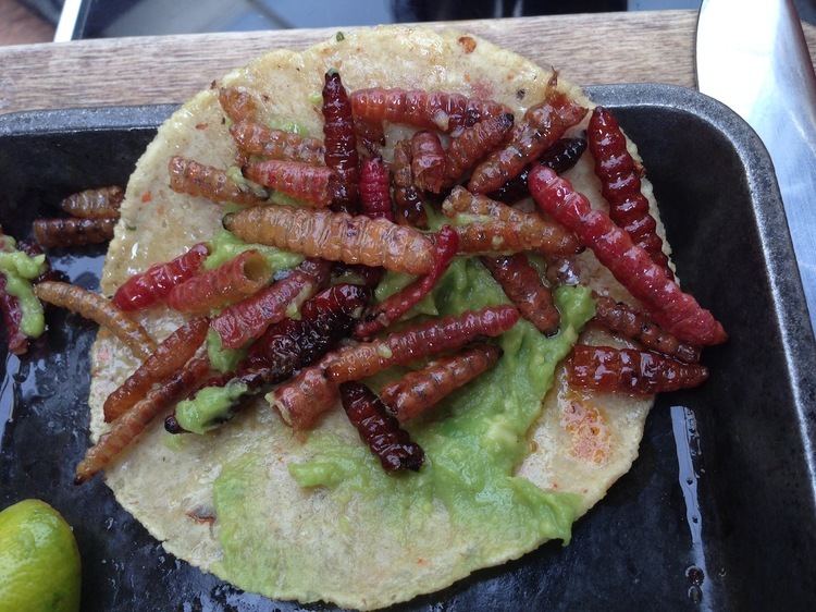 Maguey worm Do you think eating maguey worms is cheap A taco like this costs