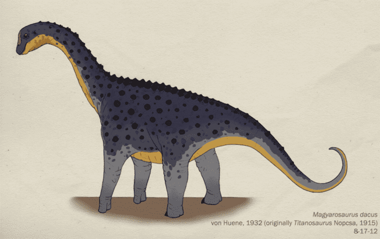 Magyarosaurus magyarosaurus DeviantArt