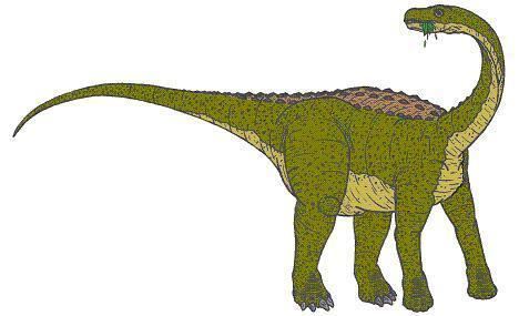 Magyarosaurus Magyarosaurus Dinosaur Facts information about the dinosaur