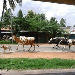 Mahadevapura, Mandya httpsuploadwikimediaorgwikipediacommonsthu