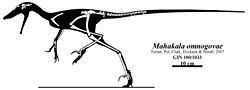 Mahakala (dinosaur) httpsuploadwikimediaorgwikipediacommonsthu