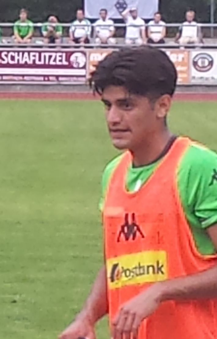 Mahmoud Dahoud Mahmoud Dahoud Wikipedia the free encyclopedia