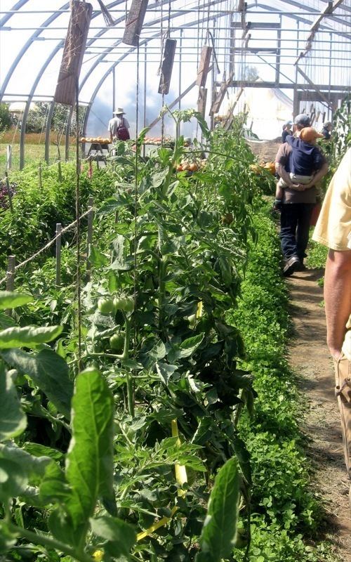 Maine Organic Farmers and Gardeners Association