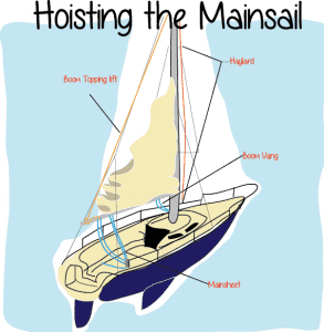 Mainsail How to raise the Mainsail Hoist the Sails