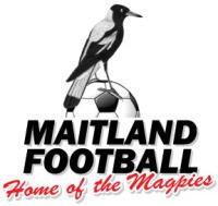 Maitland FC wwwstaticspulsecdnnetpics000359683596890