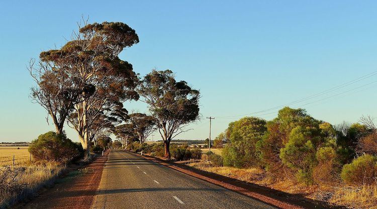 Major roads in the Wheatbelt region of Western Australia