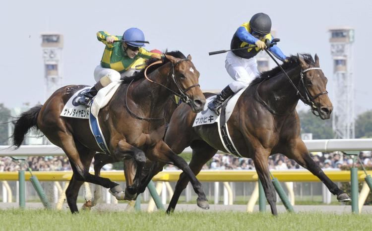Makahiki (horse) Makahiki triumphs by a nose in Japanese Derby The Japan Times
