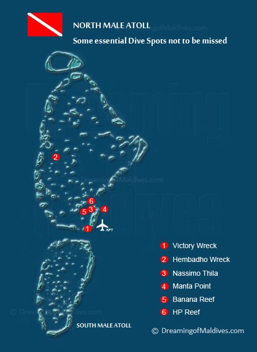 Malé Atoll North Male Atoll Scuba Diving Guide The essential and the main dive