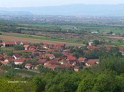 Mala Grabovnica (Leskovac) httpsuploadwikimediaorgwikipediacommonsthu